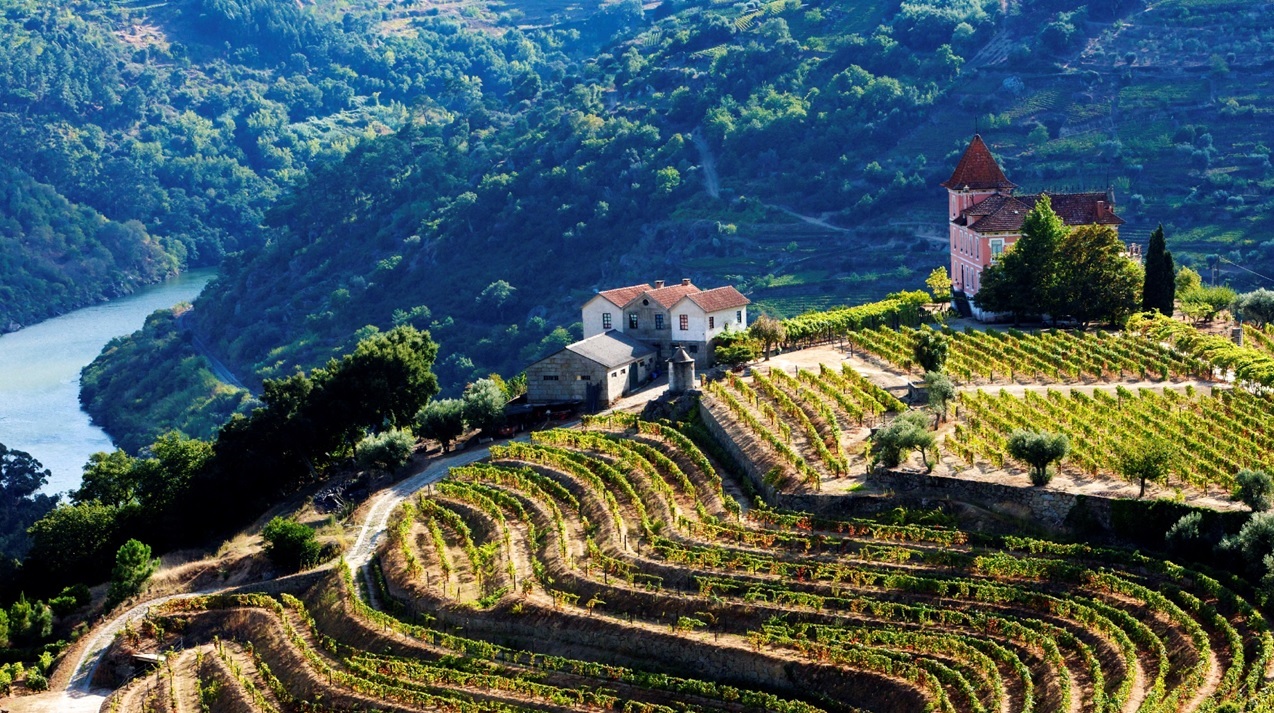 Wine Tourism: national and European dimension